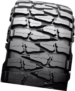 Carty It Auto Parts